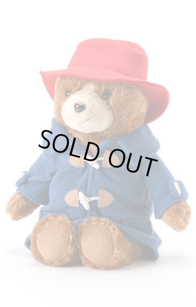 画像2: パディントンベア™湯たんぽ(47cm) (2)