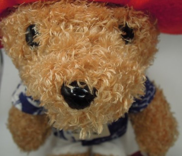 画像3: パディントンベア™ぬいぐるみアロハ ブルー 26cm★数量限定★ (3)