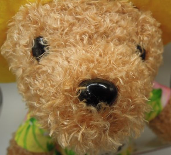 画像2: パディントンベア™ぬいぐるみアロハ イエロー26cm★数量限定★ (2)