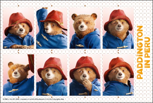 画像1: パディントン™証明写真風ステッカー★数量限定★ (1)